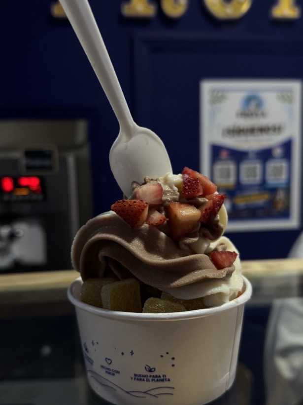 Vaso de chocolate y vainilla con fresa natural